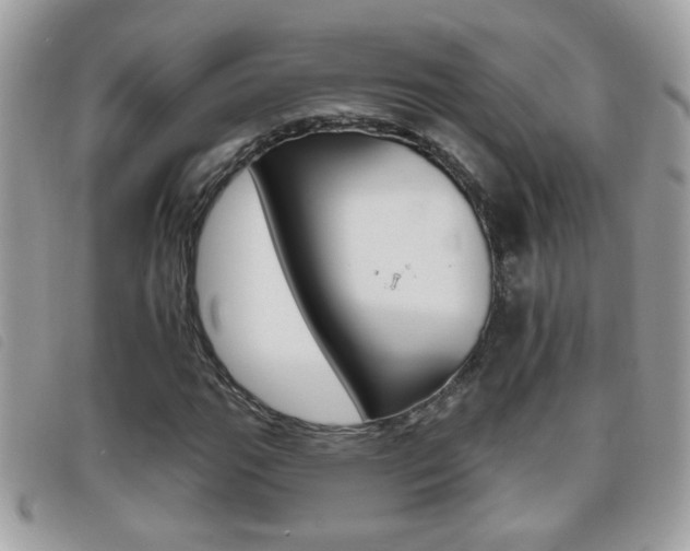 X0000095901111200801110759