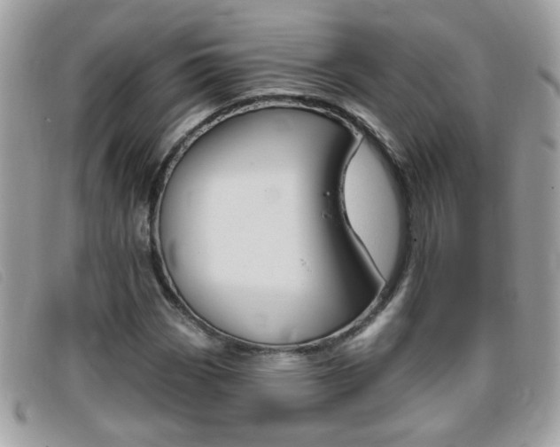 X0000095901113200801110759