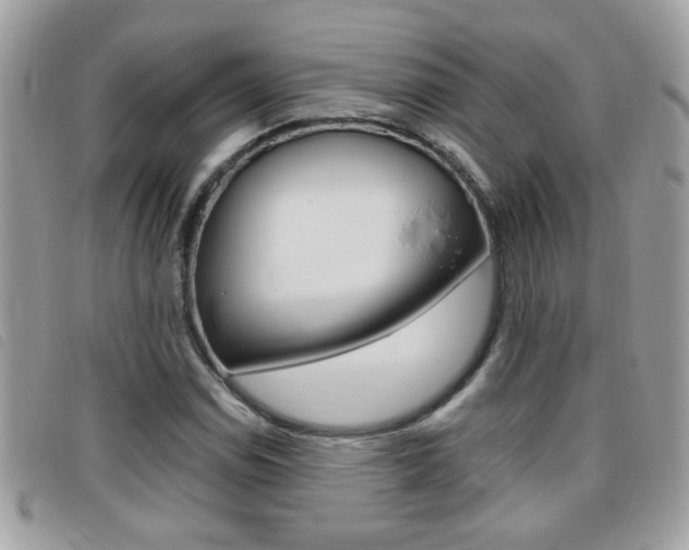 X0000095901114200801110759