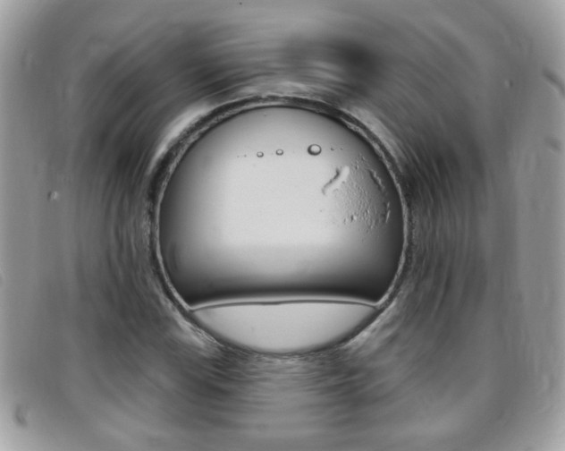 X0000095901115200801110759