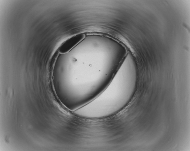 X0000095901116200801110759