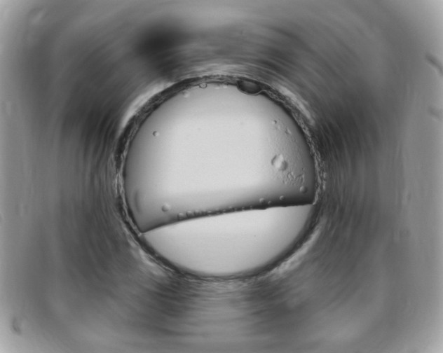 X0000095901117200801110759