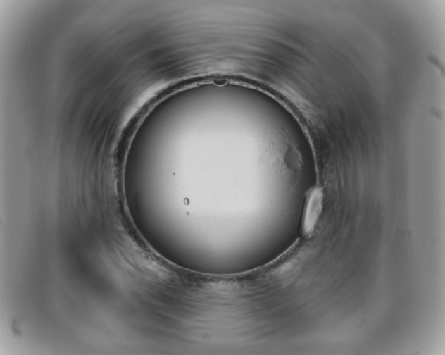 X0000095901118200801110759