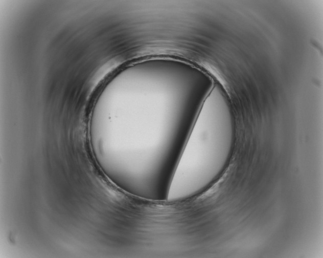 X0000095901119200801110759