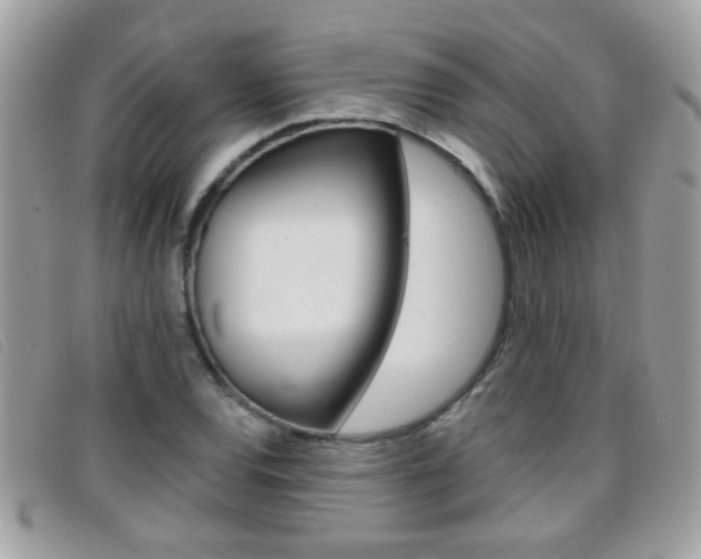 X0000095901120200801110759