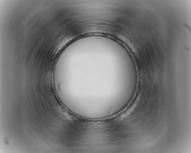 X0000095901121200801110759