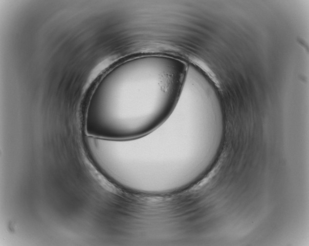 X0000095901122200801110759