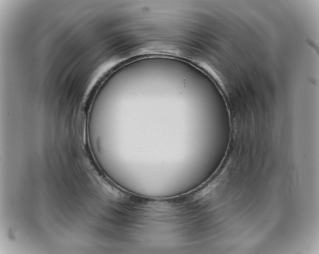 X0000095901123200801110759