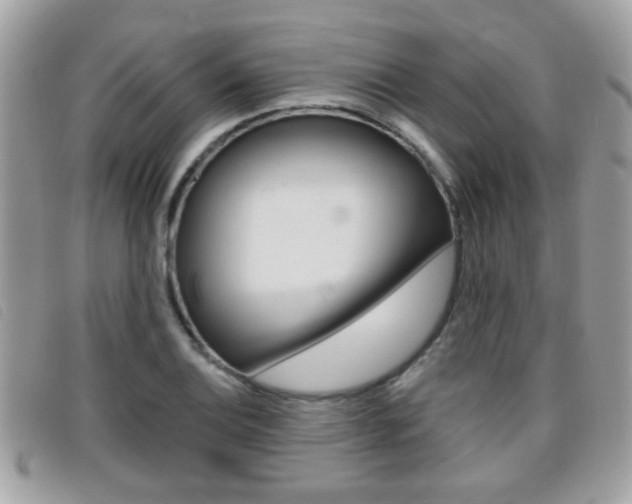 X0000095901124200801110759