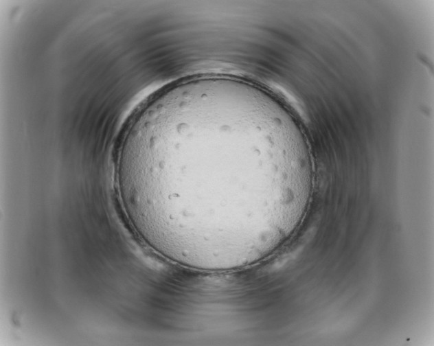 X0000095901125200801110759