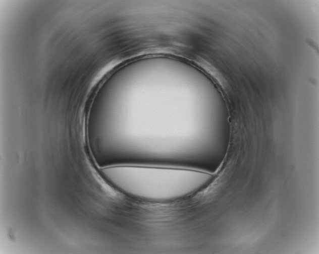 X0000095901127200801110759