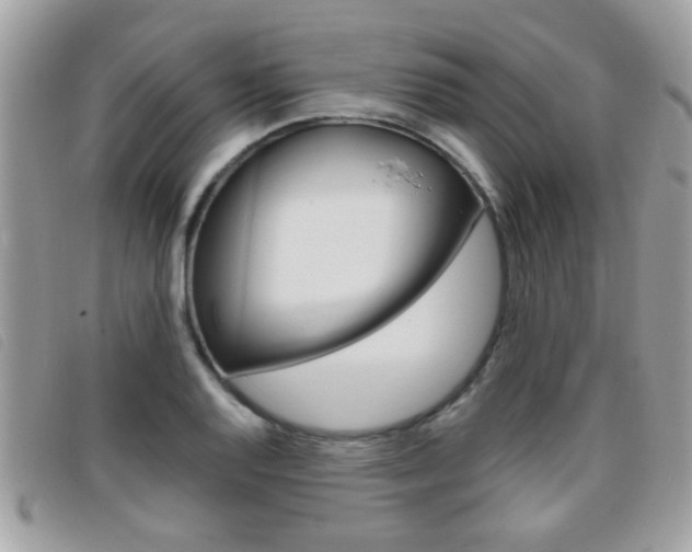 X0000095901128200801110759