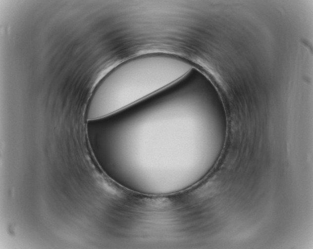 X0000095901129200801110759