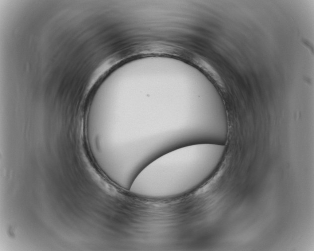X0000095901130200801110759