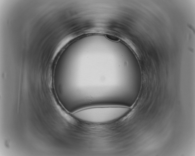 X0000095901131200801110759