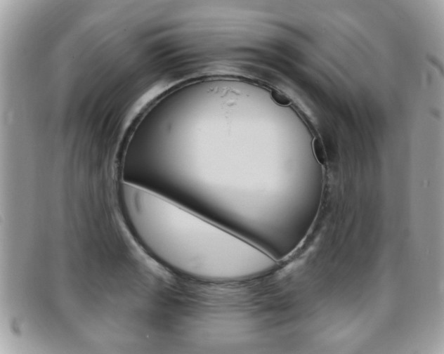 X0000095901133200801110759