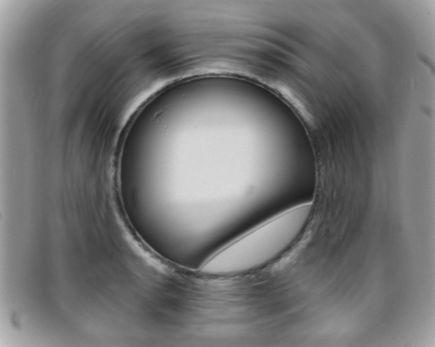X0000095901134200801110759