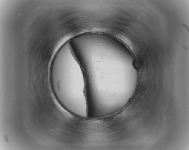 X0000095901135200801110759