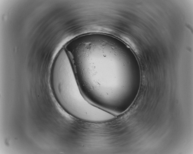 X0000095901136200801110759