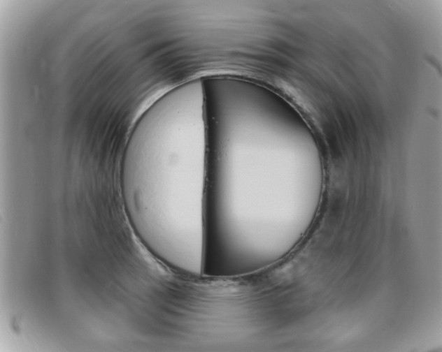 X0000095901137200801110759