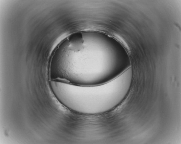 X0000095901138200801110759