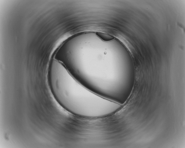 X0000095901139200801110759