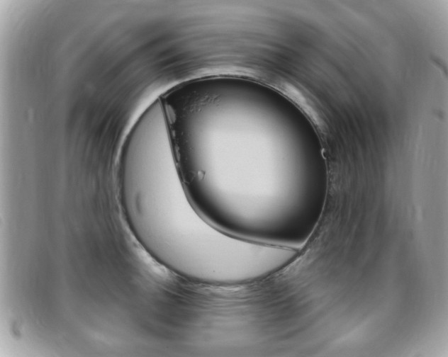 X0000095901140200801110759