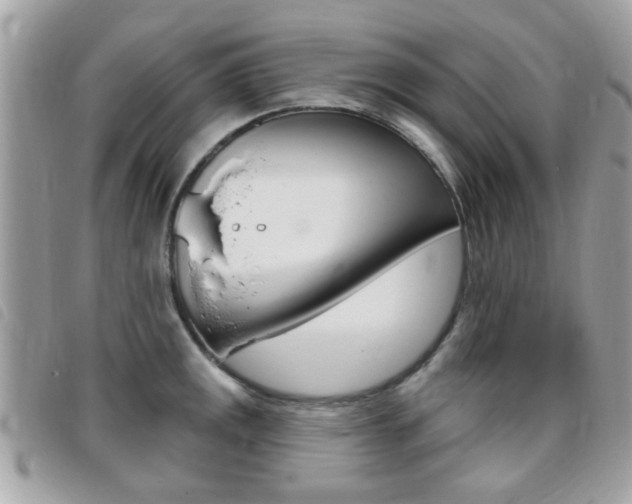 X0000095901141200801110759