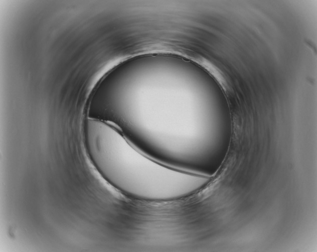 X0000095901142200801110759