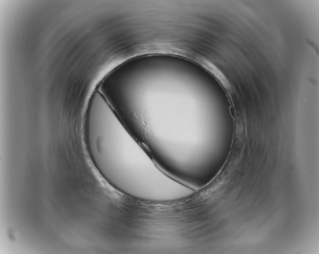 X0000095901144200801110759