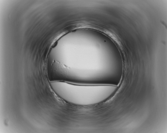 X0000095901145200801110759