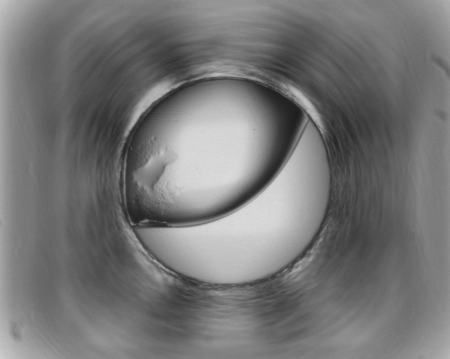 X0000095901146200801110759