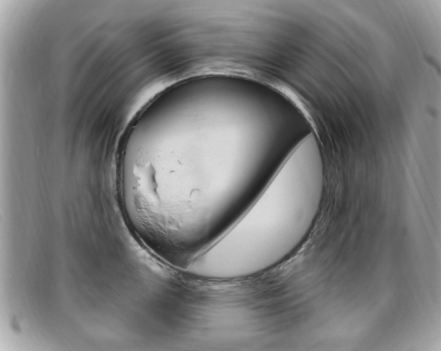 X0000095901147200801110759