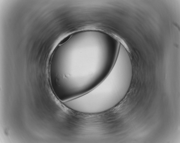 X0000095901148200801110759