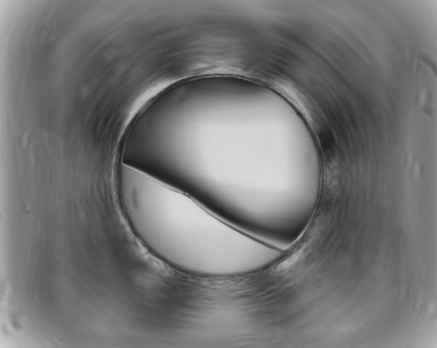 X0000095901149200801110759