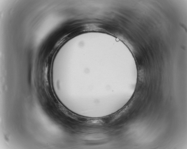 X0000095901150200801110759