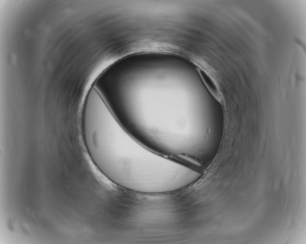 X0000095901152200801110759
