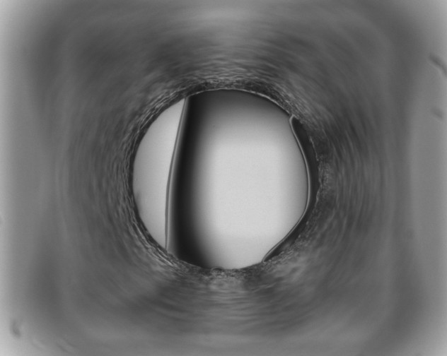 X0000095901153200801110759