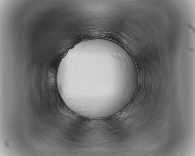 X0000095901154200801110759