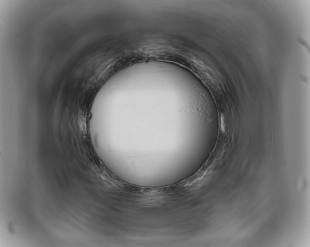 X0000095901155200801110759