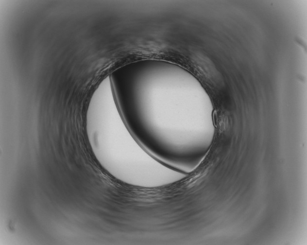 X0000095901156200801110758