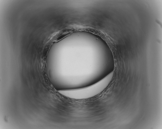 X0000095901157200801110758