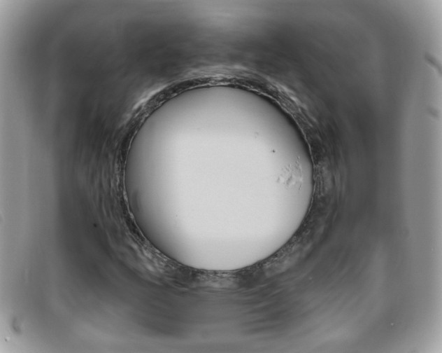X0000095901158200801110758