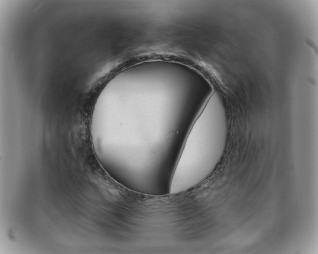 X0000095901159200801110758