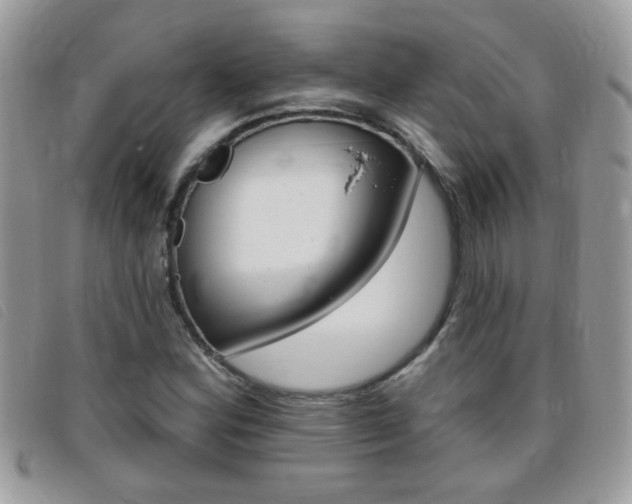 X0000095901164200801110758