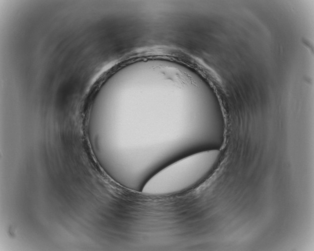 X0000095901166200801110758