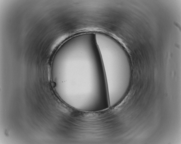 X0000095901171200801110758