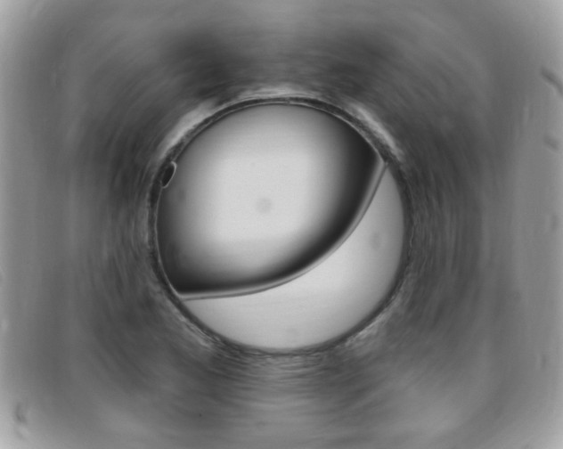 X0000095901173200801110758