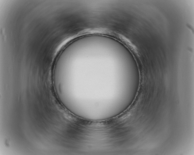 X0000095901174200801110758