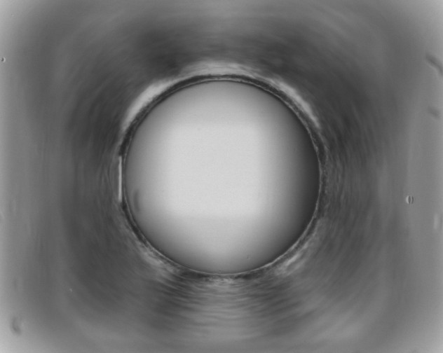 X0000095901175200801110758